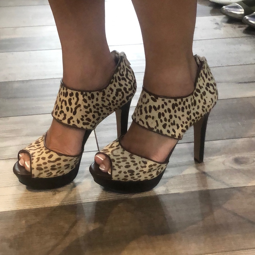 BCBG  🐆